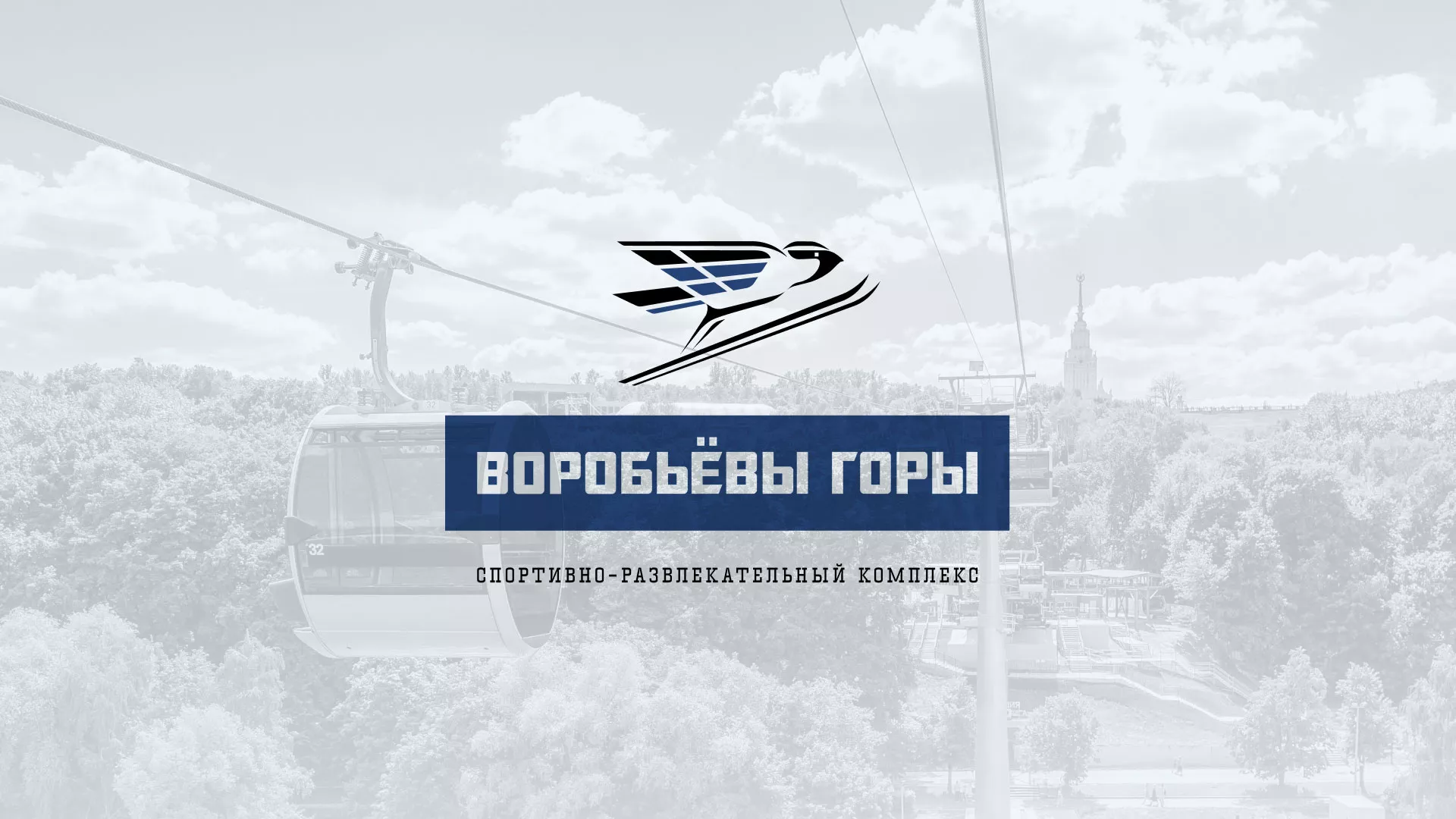Разработка сайта в Пущино для спортивно-развлекательного комплекса «Воробьёвы горы»