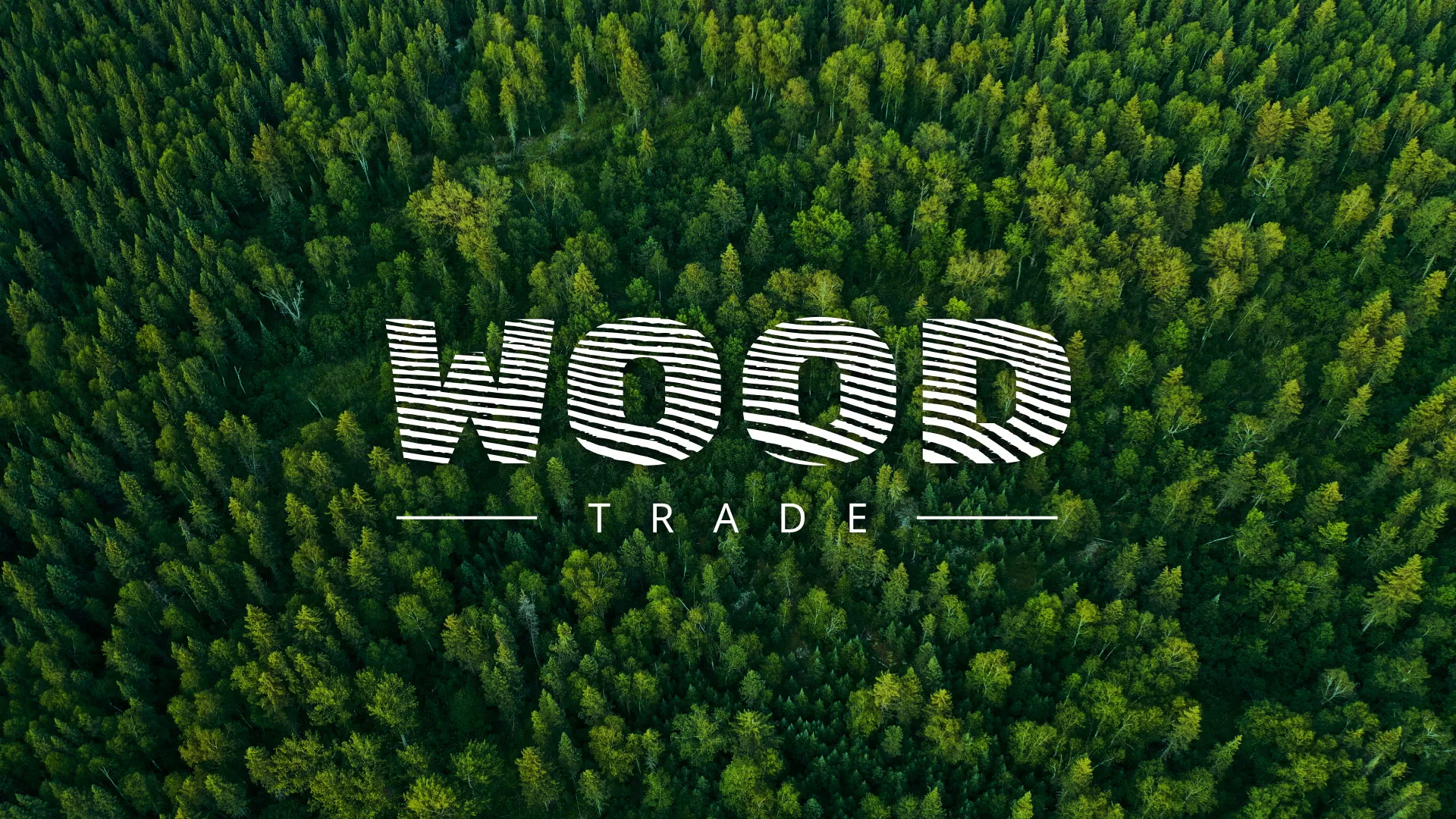 Разработка интернет-магазина компании «Wood Trade» в Пущино
