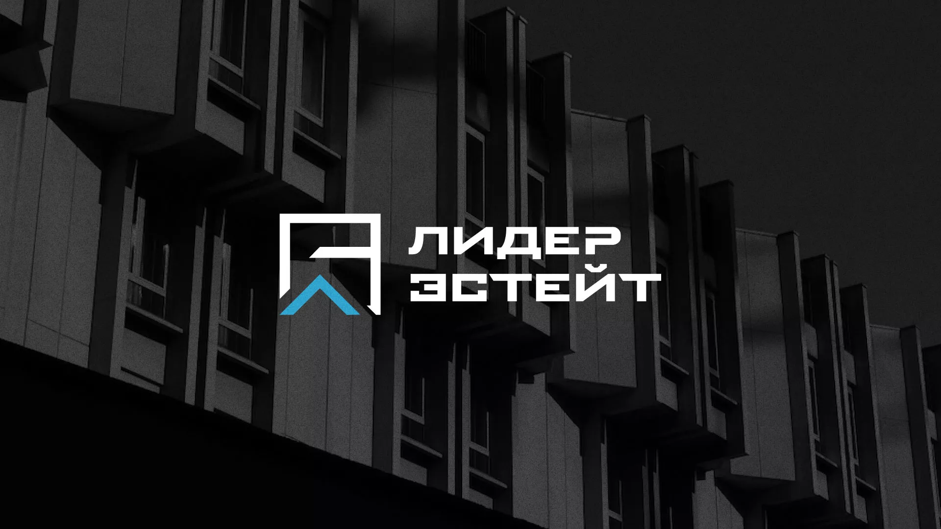 Разработка логотипа агентства недвижимости «Лидер Эстейт» в Пущино