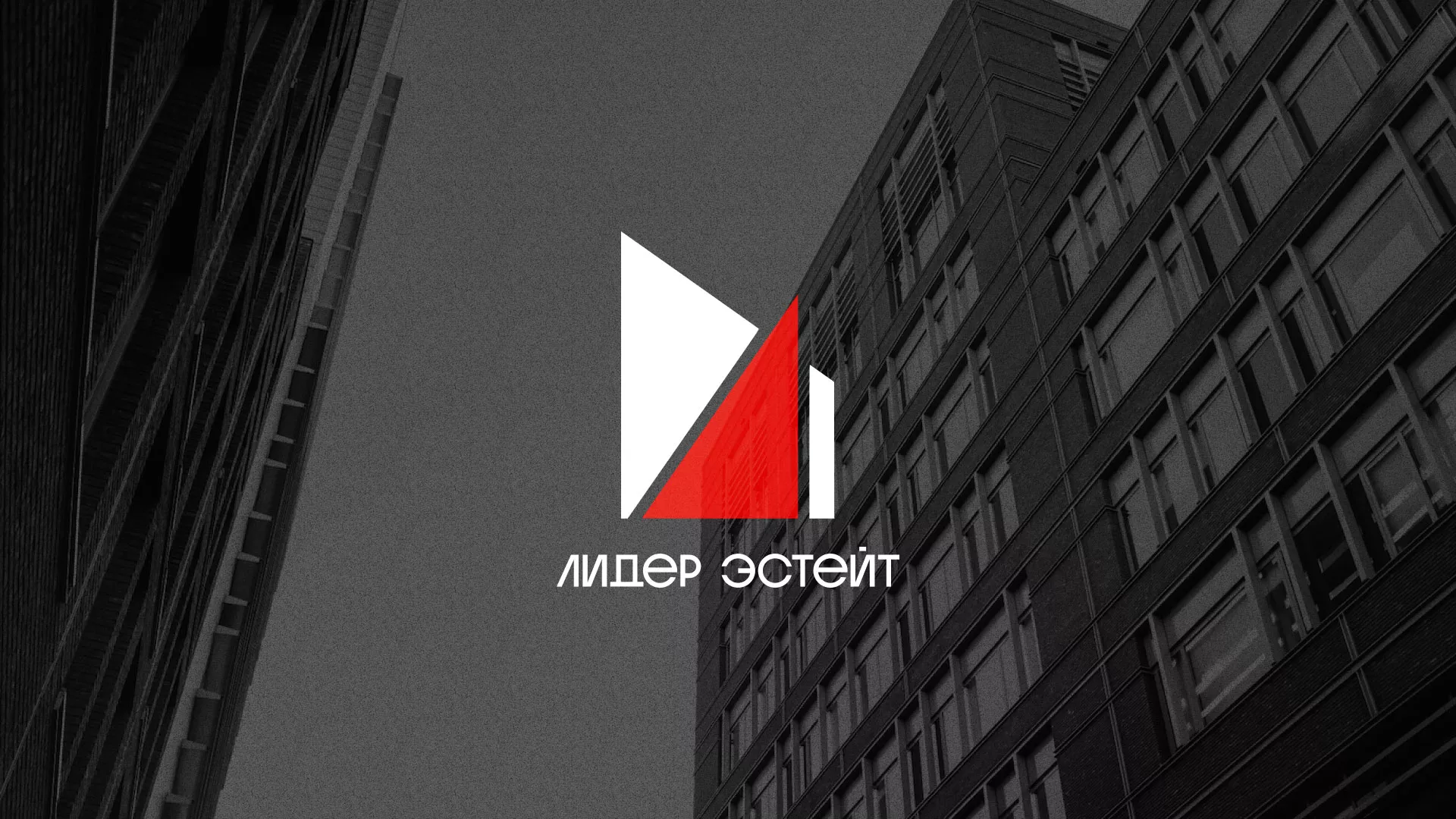 Сделали логотип для агентства недвижимости «Лидер Эстейт» в Пущино